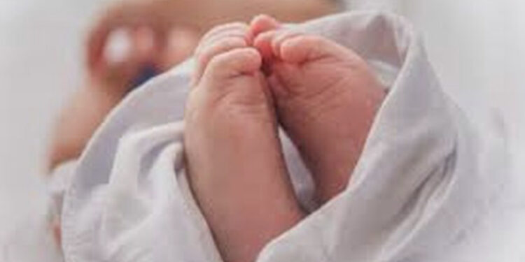 E rrallë/ Lind fëmija me katër krahë, katër këmbë dhe dy fytyra