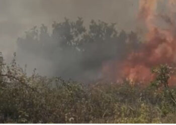 Ende aktive vatra e zjarrit në Gjirokastër, 180 forca në terren