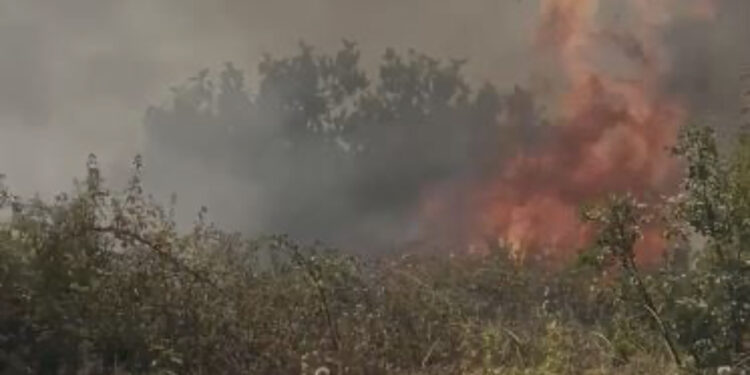 Ende aktive vatra e zjarrit në Gjirokastër, 180 forca në terren