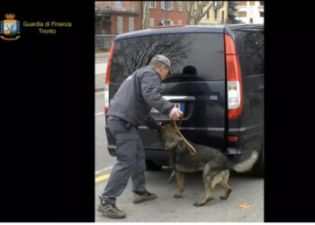 Shkatërrohet grupi i trafikantëve shqiptarë me bazë në Parma