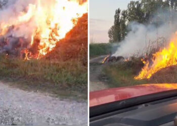 Zjarr i qëllimshëm në Berat, flakët vihen në kontroll