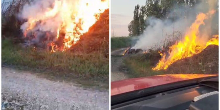 Zjarr i qëllimshëm në Berat, flakët vihen në kontroll