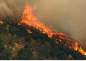 Foto/ Zjarr i madh nga djegia e gomave pranë Fushës së Aviacionit në Vlorë