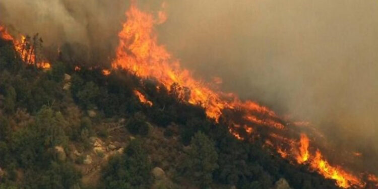 Foto/ Zjarr i madh nga djegia e gomave pranë Fushës së Aviacionit në Vlorë