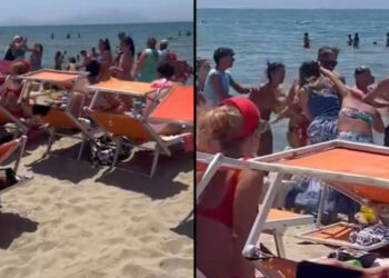 VIDEO/ Sherr i madh për shelzonin, gratë kapen për flokësh! Pamjet bëhen virale në internet