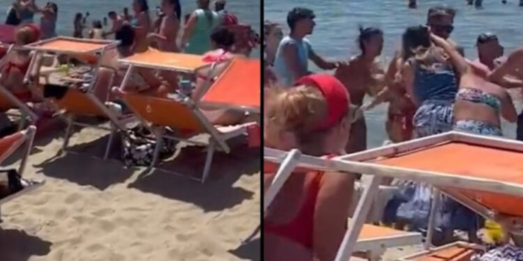 VIDEO/ Sherr i madh për shelzonin, gratë kapen për flokësh! Pamjet bëhen virale në internet