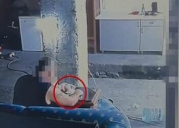 Shpërndante kokainë në lokalet e natës në Himarë, arrestohet 42-vjeçari