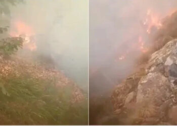 Zjarr i përmasave të mëdha pranë Elbasanit, zjarrfikësit dhe ushtria në luftë me flakët