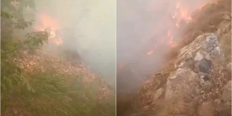 Zjarr i përmasave të mëdha pranë Elbasanit, zjarrfikësit dhe ushtria në luftë me flakët