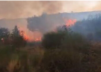 Zjarri në Tepelenë vijon dhe këtë pasdite, në terren zjarrëfikëset