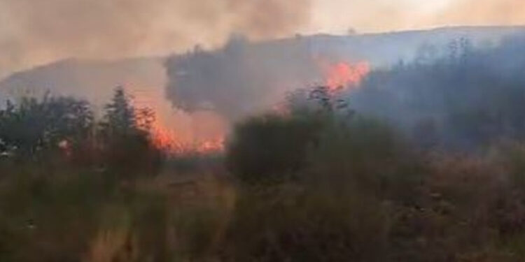 Zjarri në Tepelenë vijon dhe këtë pasdite, në terren zjarrëfikëset