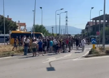 Fermerët e Korçës sërish në protestë: Prodhimin po na e hanë minjtë