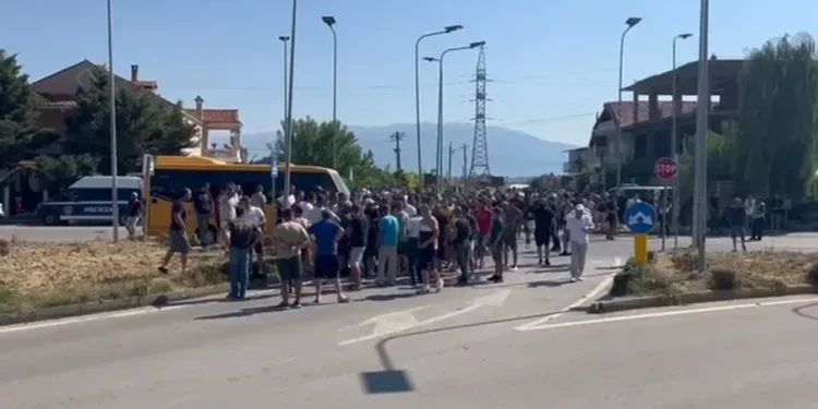 Fermerët e Korçës sërish në protestë: Prodhimin po na e hanë minjtë