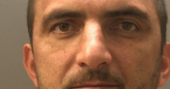 EMRI/ Nuk gjeti punë në ndërtim, shqiptari u bë kopshtar bimësh kanabisi. Dënohet me 12 muaj burg