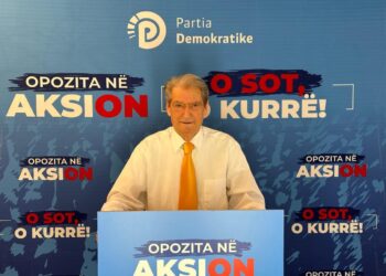 Berisha: Disa pyetje për Edvin Gjipenë lidhur me lumturimin e tij dhe klanit Koleka me 224 mijë metër katror toke në Gjipe