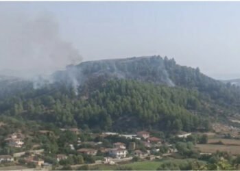 Zjarri në kodrën e Lekajt në Lushnjë vijon të jetë aktiv, terreni vështirëson ndërhyrjet