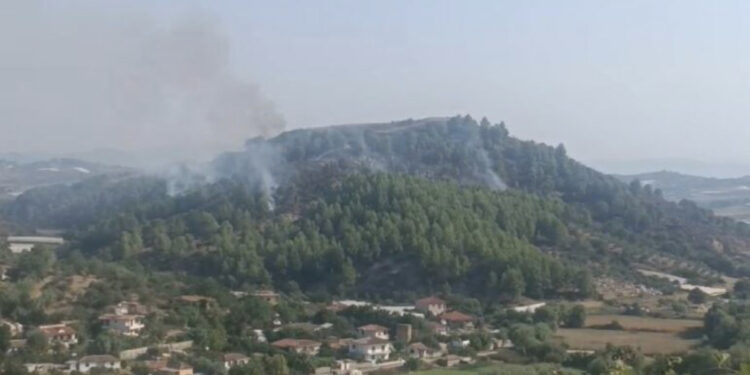 Zjarri në kodrën e Lekajt në Lushnjë vijon të jetë aktiv, terreni vështirëson ndërhyrjet