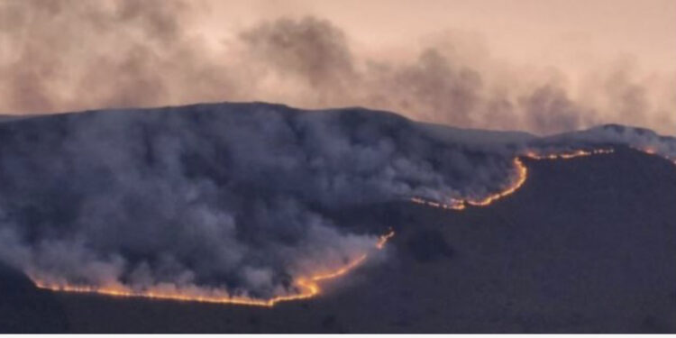Pamje apokaliptike! Zjarri në Pustec agravon, pritet ndërhyrje nga ajri