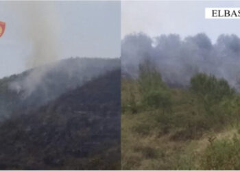 Ndezi zjarr në tokën e tij, por dogji një sipërfaqe me pemë frutore dhe ullinj, e pëson i moshuari në fshatin Valas të Elbasanit