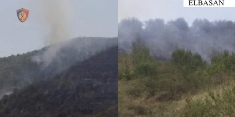 Ndezi zjarr në tokën e tij, por dogji një sipërfaqe me pemë frutore dhe ullinj, e pëson i moshuari në fshatin Valas të Elbasanit