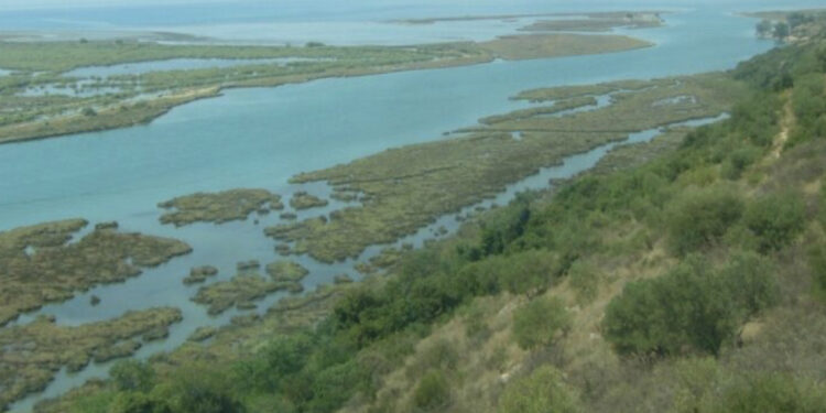 Turisti i dehur dhe pa patentë përfundon me makinë në kanalin e Butrintit