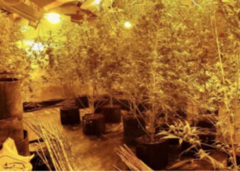 U kapën në një shtëpi bari, arrestohen 9 shqiptarët në Belgjikë