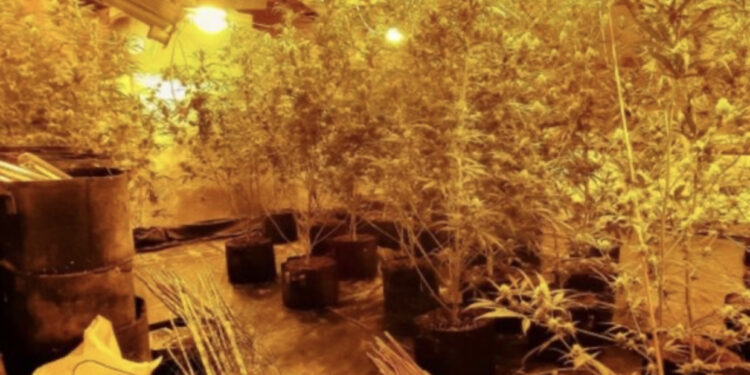 U kapën në një shtëpi bari, arrestohen 9 shqiptarët në Belgjikë