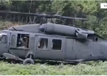 Asgjësohen 8000 bimë dhe 4810 fidanë kanabis në Vau i Dejës