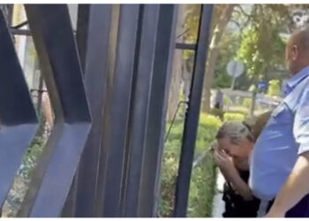 ‘O kafshë’, motra e Egli Progës pret në Gjykatë vrasësin e dyshuar të vëllait