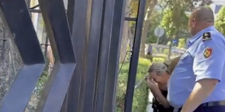 ‘O kafshë’, motra e Egli Progës pret në Gjykatë vrasësin e dyshuar të vëllait