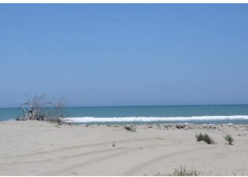 Mbytet 69-vjeçari në plazhin Pishporo në Fier