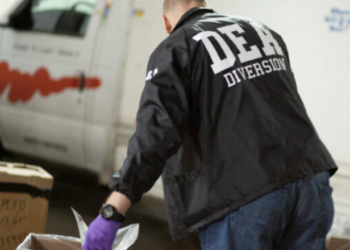 E mbështjellë me gjethe selino, sekuestrohen mbi 1 mijë kilogramë drogë, arrestohet një person