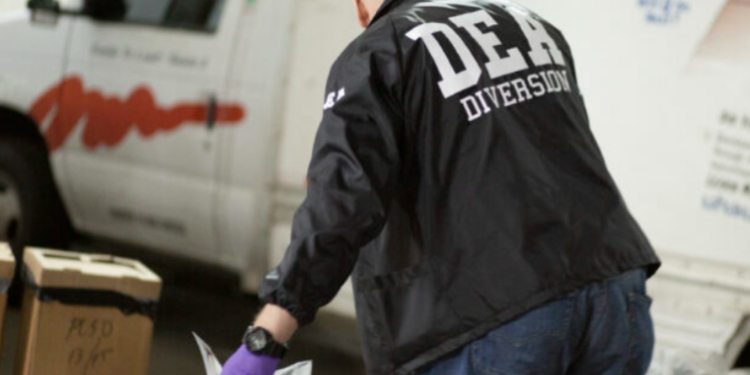 E mbështjellë me gjethe selino, sekuestrohen mbi 1 mijë kilogramë drogë, arrestohet një person