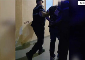 EMRI/ Ndezi zjarr dhe digjen 1 mijë pemë ulliri, arrestohet 38-vjeçari