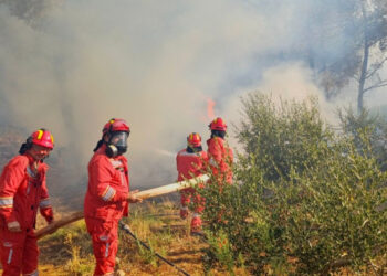 Shteti me pushime/ 12 vatra zjarri janë aktive, beteja vijon në Lezhë, Himarë e Shkodër