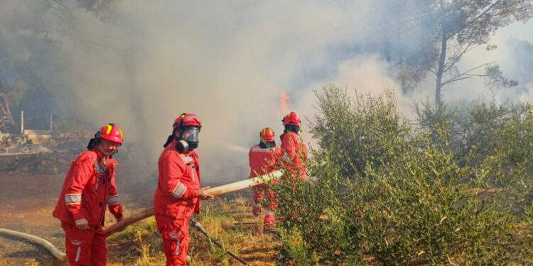 Shteti me pushime/ 12 vatra zjarri janë aktive, beteja vijon në Lezhë, Himarë e Shkodër