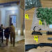 Mirditë/Arrestohet 31-vjeçari për kultivimin e kanabisit, në hetim kryeplaku i fshatit!