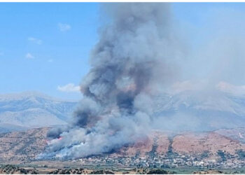 Zjarr i madh në parkun arkeologjik të Finiqit, kërkohet ndërhyrja nga ajri