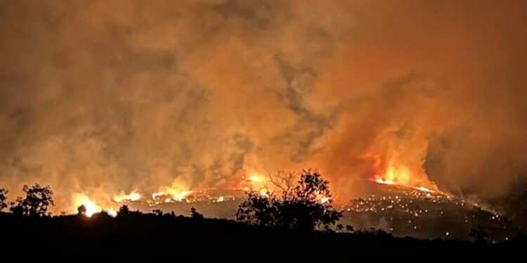 Zjarri në Labovë të Gjirokastrës ende aktiv, vijon puna për shuarjen e flakëve