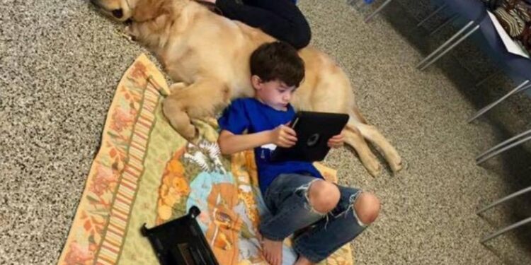 Veprimi i 5-vjeçarit të prekur nga autizmi, bën nënën e tij të shpërthejë në lot…