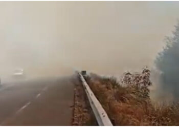 Zjarr në të dyja anët e rrugës së Kombit, zjarrfikësit në terren