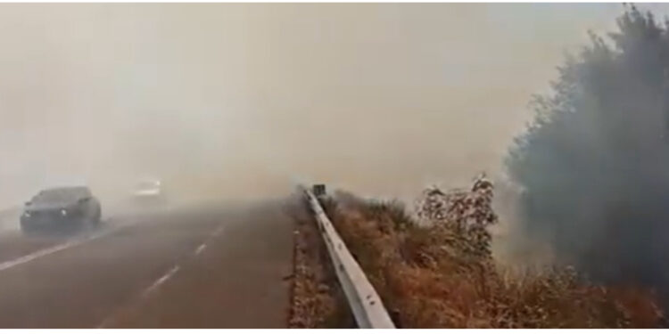 Zjarr në të dyja anët e rrugës së Kombit, zjarrfikësit në terren