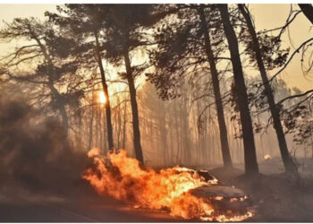 FOTO/ Flakët “përpin” Greqinë! Pamje të kapura nga pasagjerët e aeroplanëve