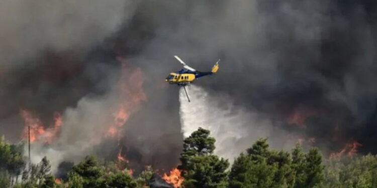 “Nuk ia dalim dot”/ Situatë apokaliptike nga zjarret në Athinë! Greqia kërkon ndihmë ndërkombëtare