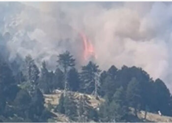 Kërkohet ndihma e ushtrisë/ Vijon zjarri në Parkun Kombëtar në Malin e Tomorrit, flakët favorizohen nga temperaturat dhe era
