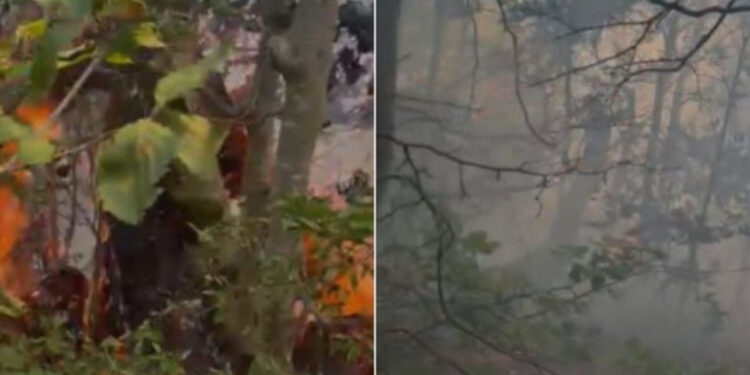 Zjarri në Theth, era favorizon përhapjen e flakëve, në ndihmë 30 ushtarë