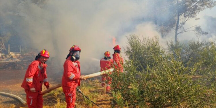Zjarri në Mallakastër, digjen dy banesa dhe sipërfaqe të mëdha pylli