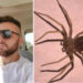 U pickua nga merimanga “violinë”, humb jetën 23-vjeçari në Itali