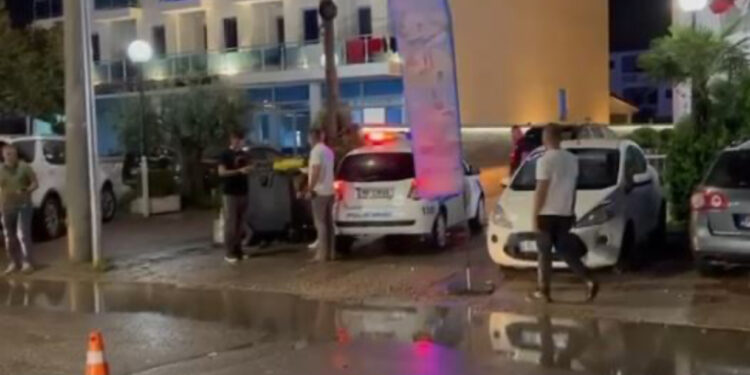 Masakra në Velipojë/ Plumbat e dy vëllezërve nuk kursyen as kamarierin e lokalit