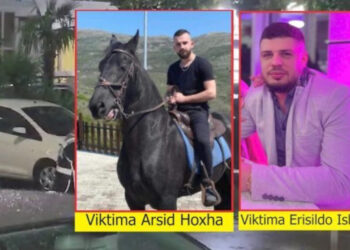 Masakra me dy të vrarë në Velipojë/ Si ndodhi ngjarja? Zbardhet deklarata e Edmir Frrokut para policisë